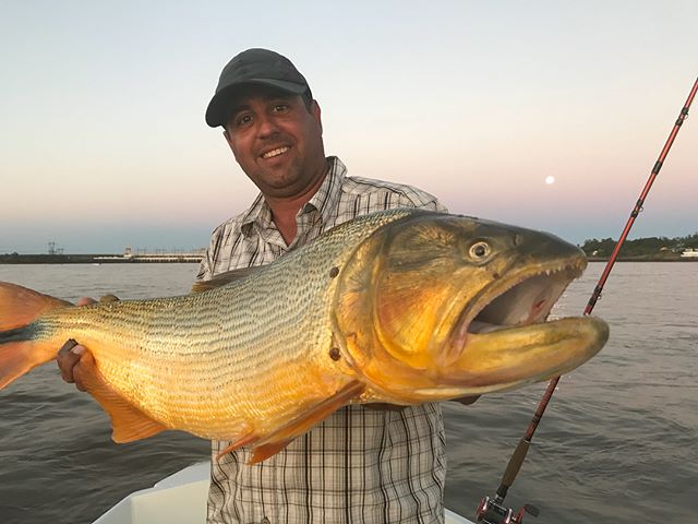 Un hombre sostiene un gran dorado pescado en el río; al fondo está la represa de Salto Grande