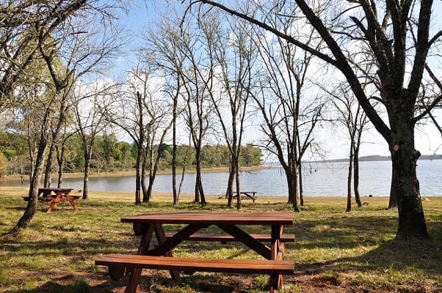 Imagen de una mesa con bancos largos de madera, a la sombra de varios árboles, en un parque; al fondo se observa parte del lago de Palmar