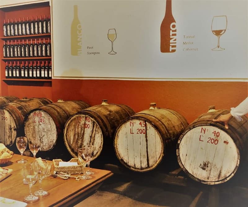 Imagen de varias barricas de vino, detrás de una mesa con copas