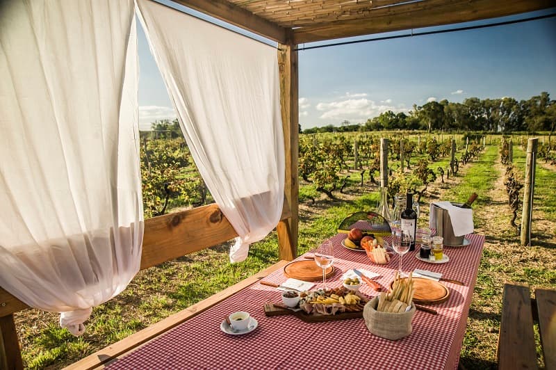 Una mesa con platos, copas y una botella de vino, frente a un viñedo en una bodega de Carmelo